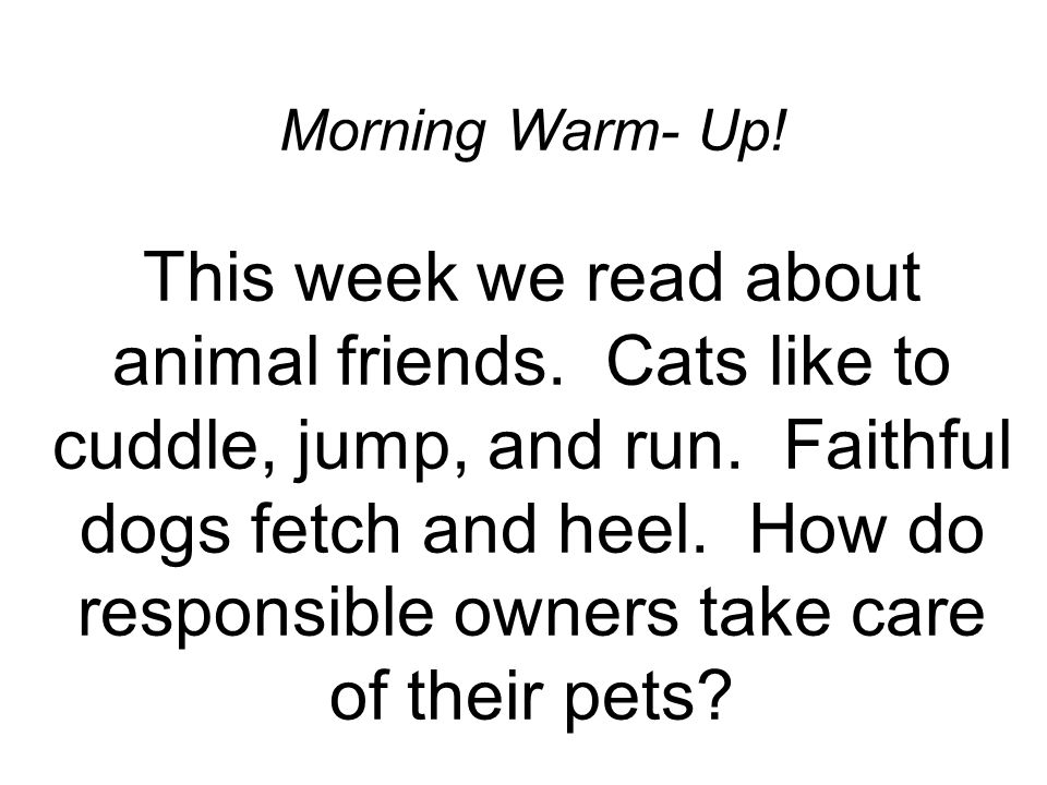 Morning Warm- Up. This week we read about animal friends.
