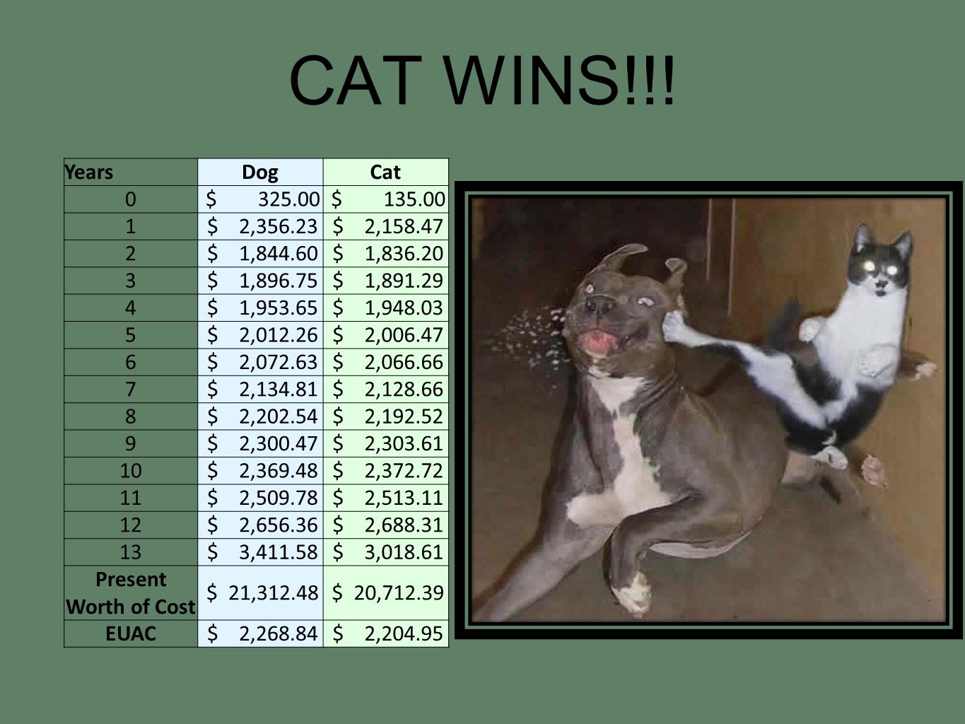 CAT WINS!!.