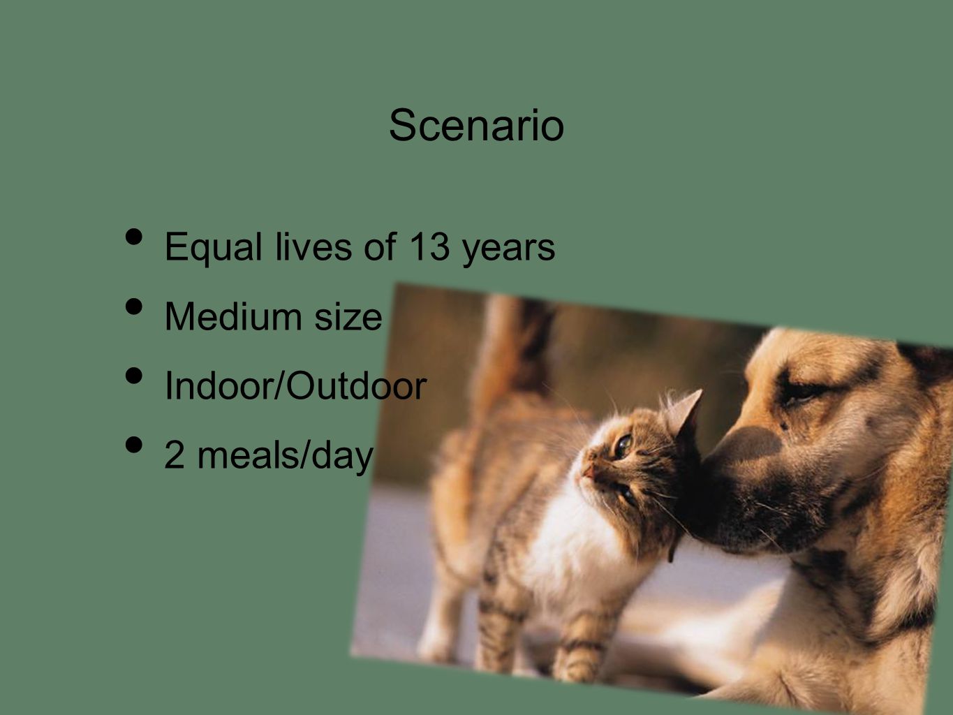 Scenario Equal lives of 13 years Medium size Indoor/Outdoor 2 meals/day