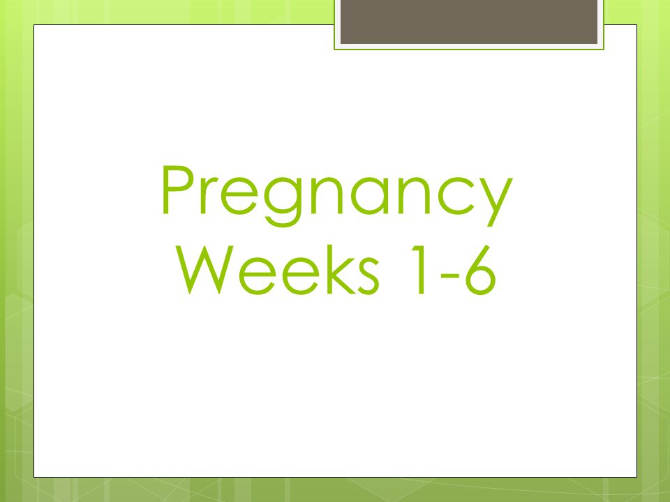 Pregnancy Weeks 1-6