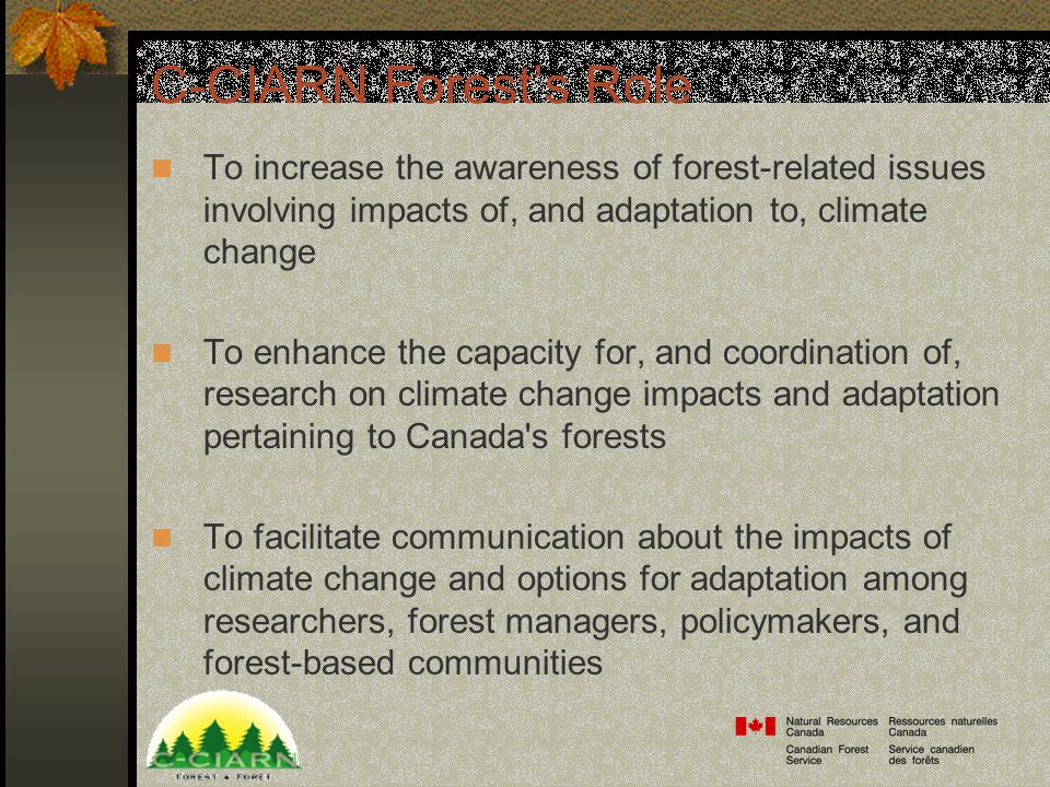 C-CIARN Forest’s Role To increase the awareness of forest-related issues involving impacts of, and adaptation to, climate change To enhance the capacity for, and coordination of, research on climate change impacts and adaptation pertaining to Canada s forests To facilitate communication about the impacts of climate change and options for adaptation among researchers, forest managers, policymakers, and forest-based communities