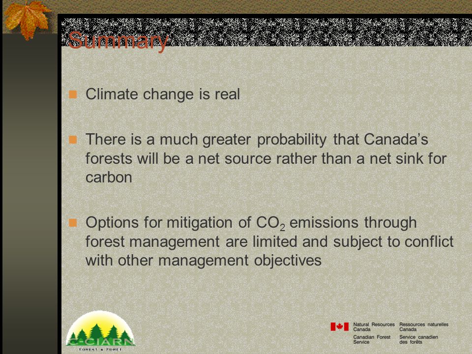 Summary Climate change is real There is a much greater probability that Canada’s forests will be a net source rather than a net sink for carbon Options for mitigation of CO 2 emissions through forest management are limited and subject to conflict with other management objectives