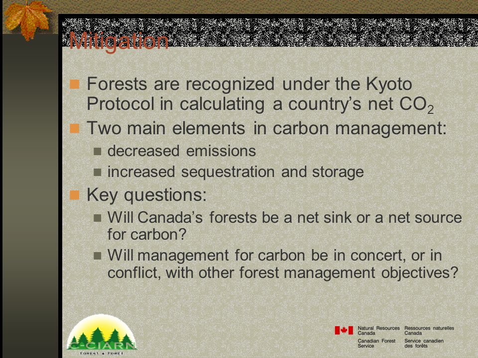 Mitigation Forests are recognized under the Kyoto Protocol in calculating a country’s net CO 2 Two main elements in carbon management: decreased emissions increased sequestration and storage Key questions: Will Canada’s forests be a net sink or a net source for carbon.