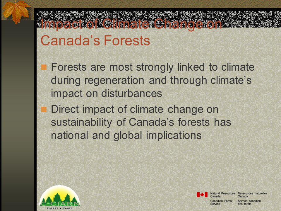 Impact of Climate Change on Canada’s Forests Forests are most strongly linked to climate during regeneration and through climate’s impact on disturbances Direct impact of climate change on sustainability of Canada’s forests has national and global implications