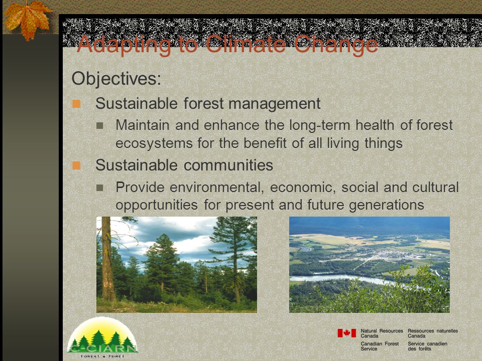 Adapting to Climate Change Objectives: Sustainable forest management Maintain and enhance the long-term health of forest ecosystems for the benefit of all living things Sustainable communities Provide environmental, economic, social and cultural opportunities for present and future generations