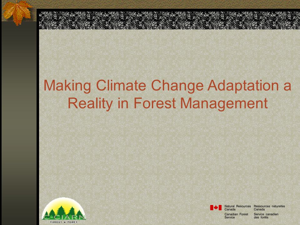Making Climate Change Adaptation a Reality in Forest Management