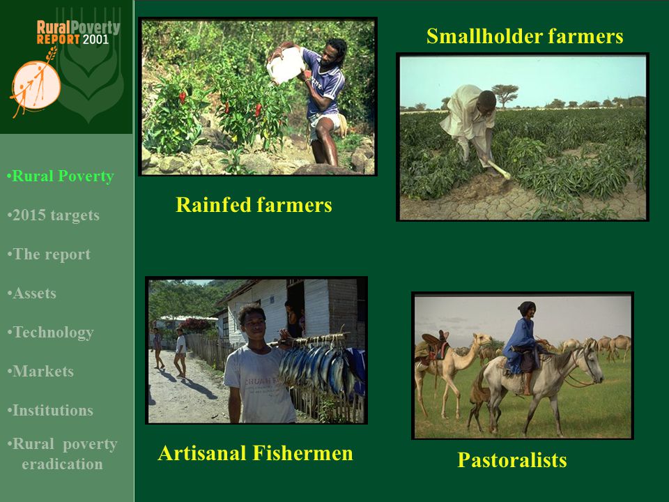 Rainfed farmers Pastoralists Artisanal Fishermen Smallholder farmers 2015 targets Assets Rural Poverty Technology Institutions The report Markets Rural poverty eradication