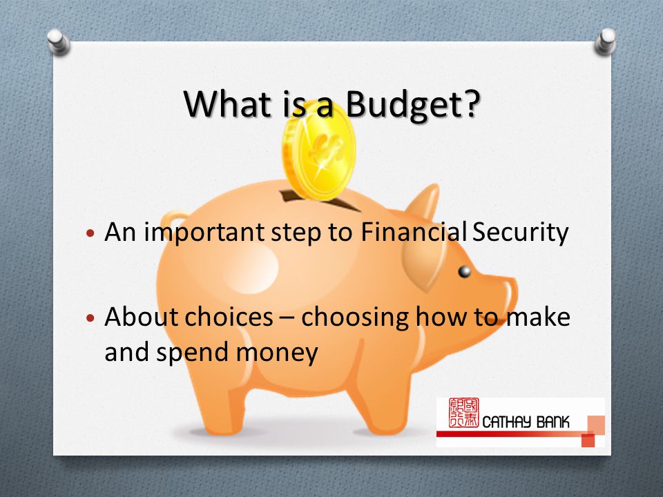 What is a Budget.