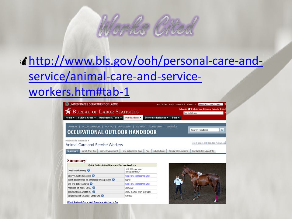   service/animal-care-and-service- workers.htm#tab-1   service/animal-care-and-service- workers.htm#tab-1
