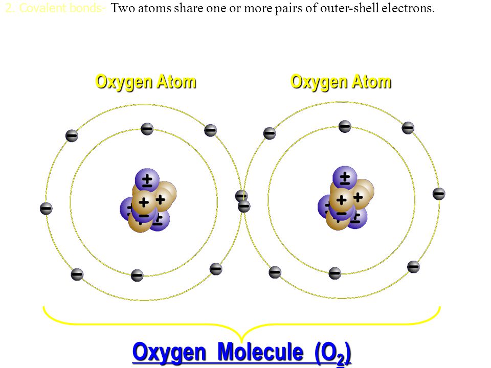 when electrons are shared equally NONPOLAR COVALENT BONDS H 2 or Cl 2