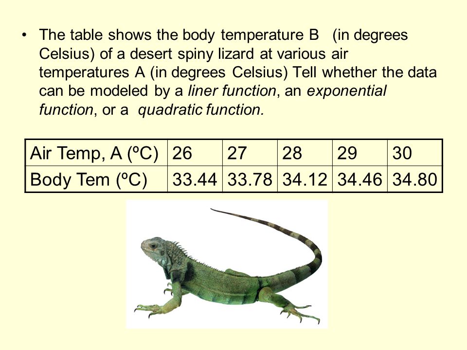 From Linear To Quadratic Worksheet Cxpz Info 9 5 Worksheet Solving Quadratic Equations By Graphing