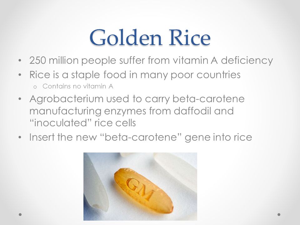 Golden Rice 250 million people suffer from vitamin A deficiency Rice is a staple food in many poor countries o Contains no vitamin A Agrobacterium used to carry beta-carotene manufacturing enzymes from daffodil and inoculated rice cells Insert the new beta-carotene gene into rice