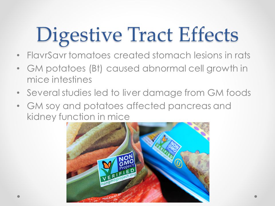 Digestive Tract Effects FlavrSavr tomatoes created stomach lesions in rats GM potatoes (Bt) caused abnormal cell growth in mice intestines Several studies led to liver damage from GM foods GM soy and potatoes affected pancreas and kidney function in mice
