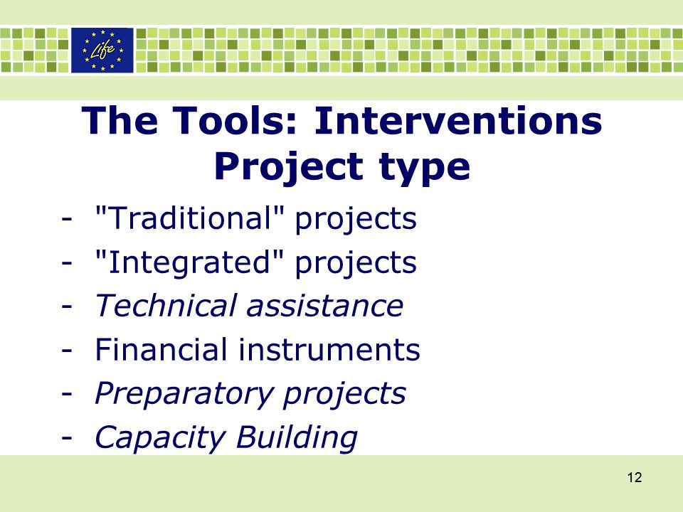 The Tools: Interventions Project type - Traditional projects - Integrated projects -Technical assistance -Financial instruments -Preparatory projects -Capacity Building 12