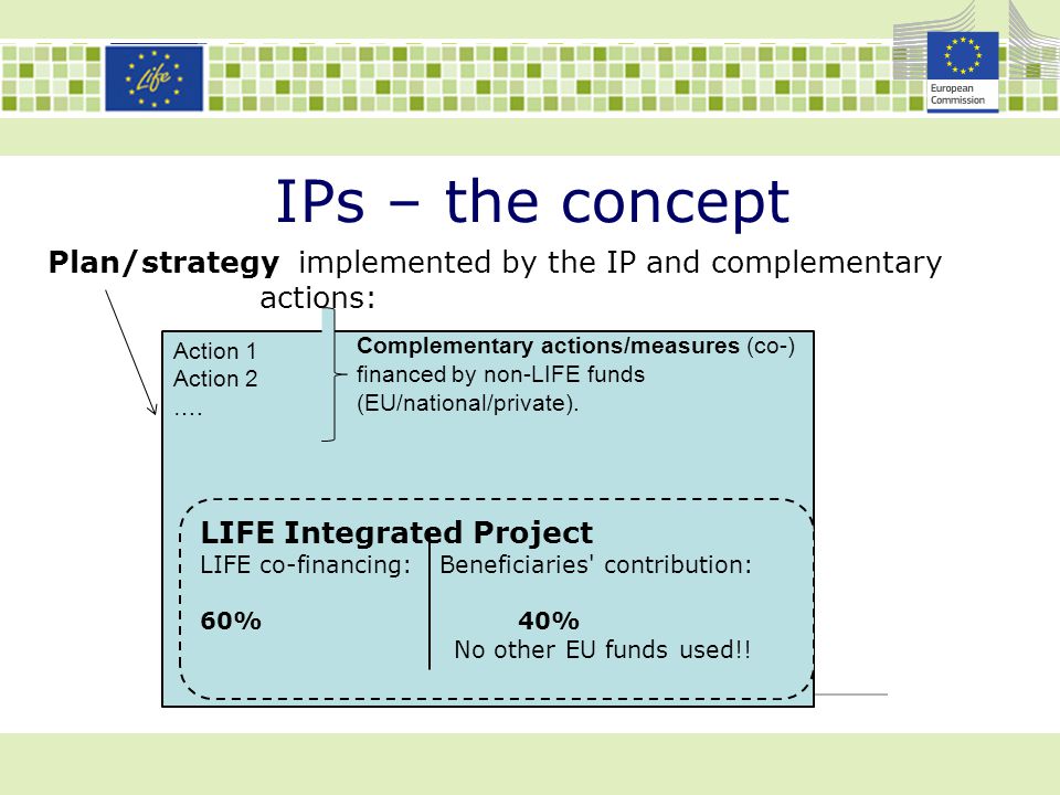 IPs – the concept Plan/strategy implemented by the IP and complementary actions: Action 1 Action 2 ….