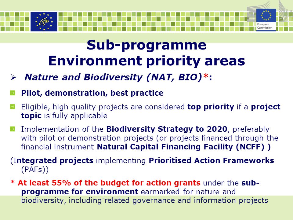 Sub-programme Environment priority areas  Nature and Biodiversity (NAT, BIO)*: Pilot, demonstration, best practice Eligible, high quality projects are considered top priority if a project topic is fully applicable Implementation of the Biodiversity Strategy to 2020, preferably with pilot or demonstration projects (or projects financed through the financial instrument Natural Capital Financing Facility (NCFF) ) (Integrated projects implementing Prioritised Action Frameworks (PAFs)) * At least 55% of the budget for action grants under the sub- programme for environment earmarked for nature and biodiversity, including´related governance and information projects