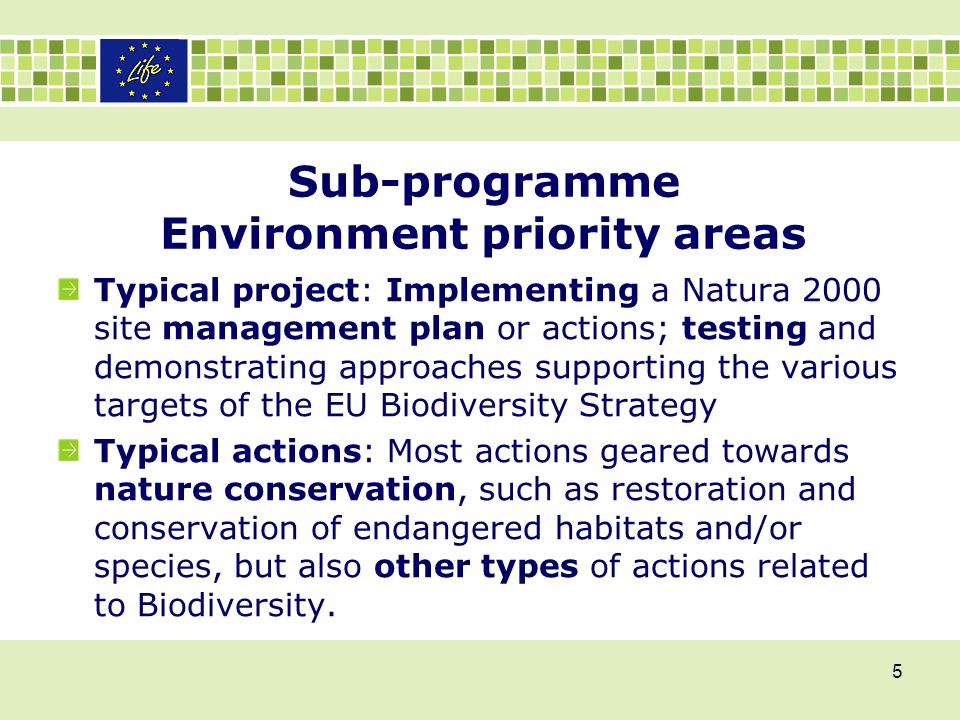 Sub-programme Environment priority areas Typical project: Implementing a Natura 2000 site management plan or actions; testing and demonstrating approaches supporting the various targets of the EU Biodiversity Strategy Typical actions: Most actions geared towards nature conservation, such as restoration and conservation of endangered habitats and/or species, but also other types of actions related to Biodiversity.