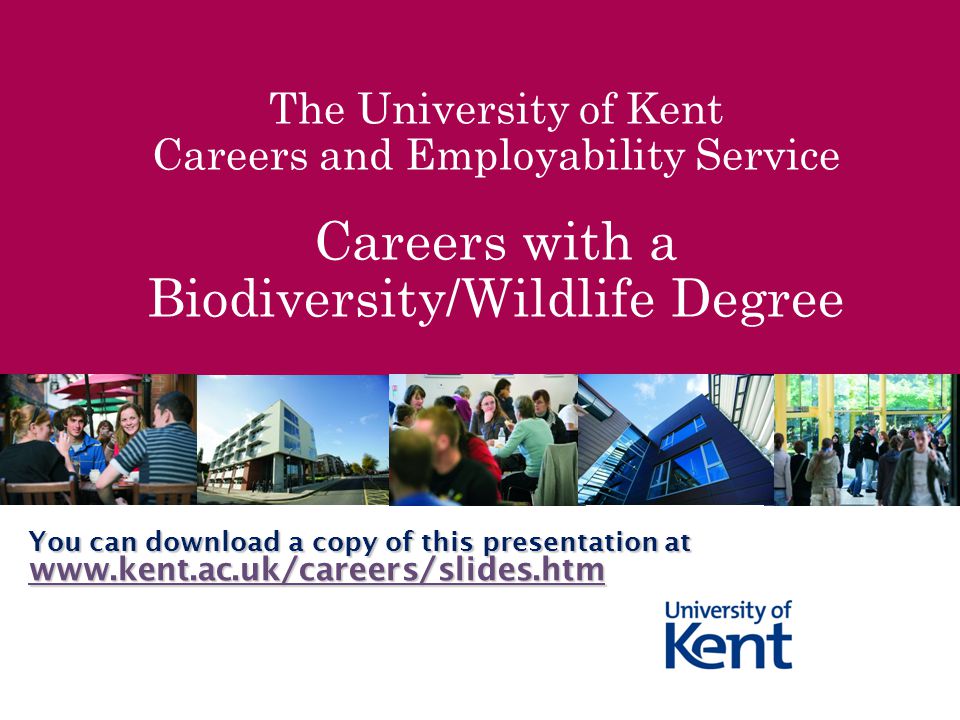The University of Kent Careers and Employability Service Careers with a Biodiversity/Wildlife Degree You can download a copy of this presentation at