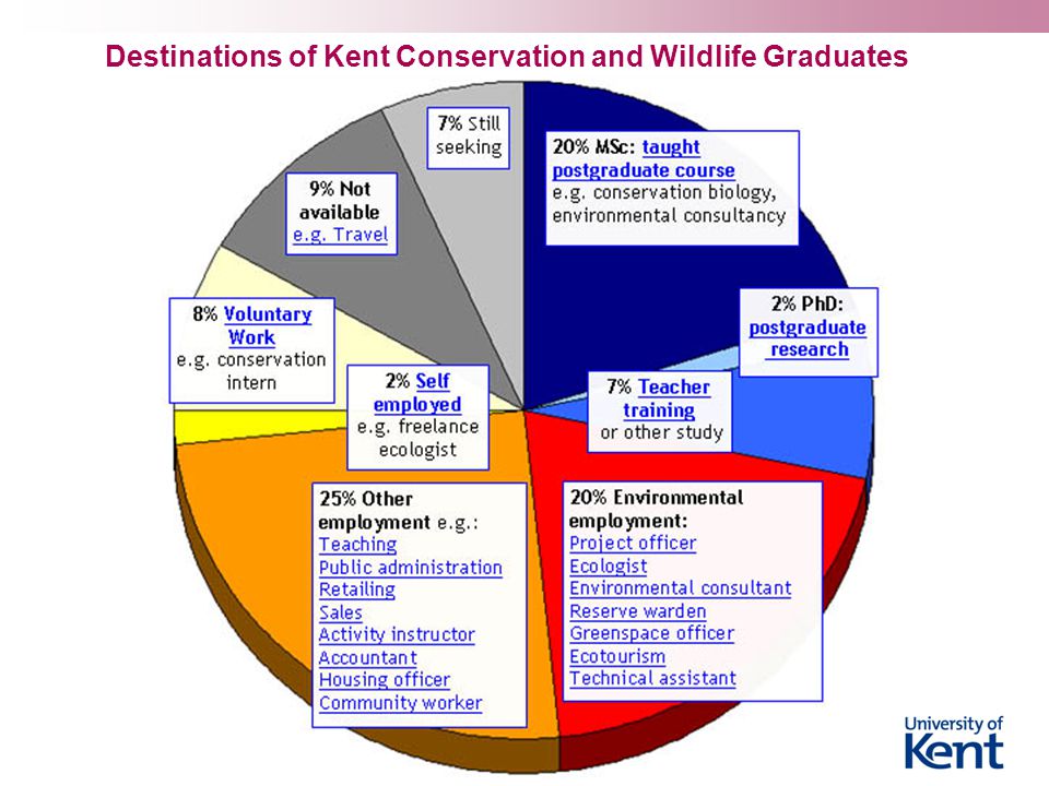 Destinations of Kent Conservation and Wildlife Graduates