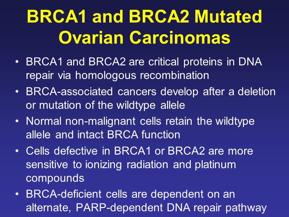 BRCA1 and BRCA2 Mutated Ovarian Carcinomas BRCA1 and BRCA2 are critical proteins in DNA repair via homologous recombination BRCA-associated cancers develop after a deletion or mutation of the wildtype allele Normal non-malignant cells retain the wildtype allele and intact BRCA function Cells defective in BRCA1 or BRCA2 are more sensitive to ionizing radiation and platinum compounds BRCA-deficient cells are dependent on an alternate, PARP-dependent DNA repair pathway