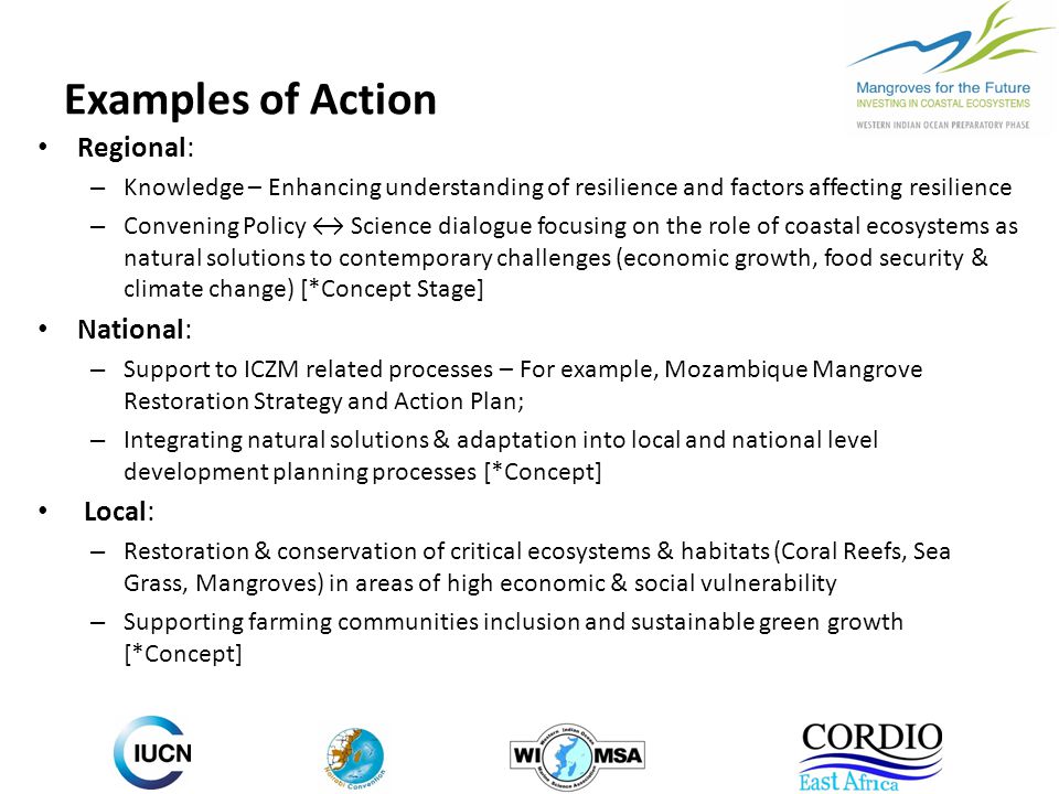 Examples of Action Regional: – Knowledge – Enhancing understanding of resilience and factors affecting resilience – Convening Policy ↔ Science dialogue focusing on the role of coastal ecosystems as natural solutions to contemporary challenges (economic growth, food security & climate change) [*Concept Stage] National: – Support to ICZM related processes – For example, Mozambique Mangrove Restoration Strategy and Action Plan; – Integrating natural solutions & adaptation into local and national level development planning processes [*Concept] Local: – Restoration & conservation of critical ecosystems & habitats (Coral Reefs, Sea Grass, Mangroves) in areas of high economic & social vulnerability – Supporting farming communities inclusion and sustainable green growth [*Concept]