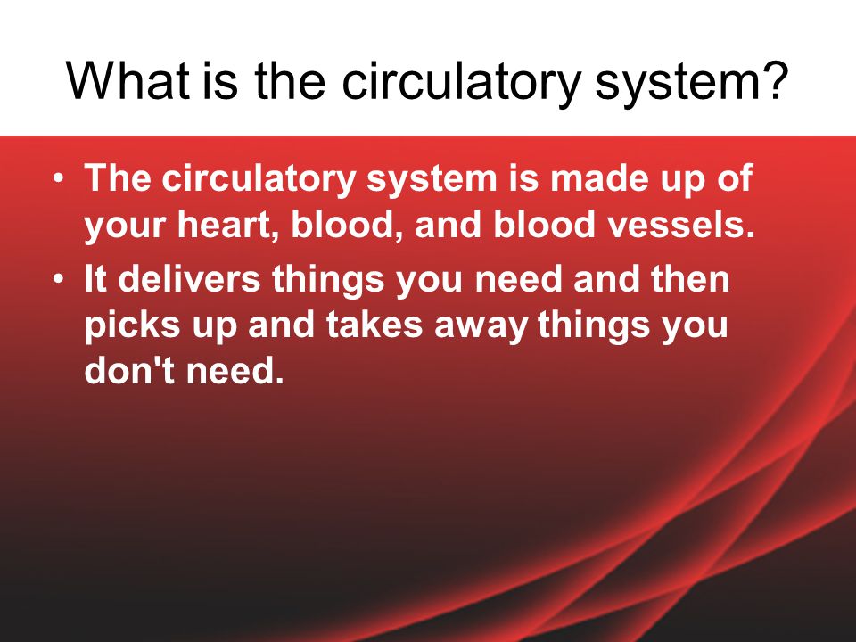 What is the circulatory system.