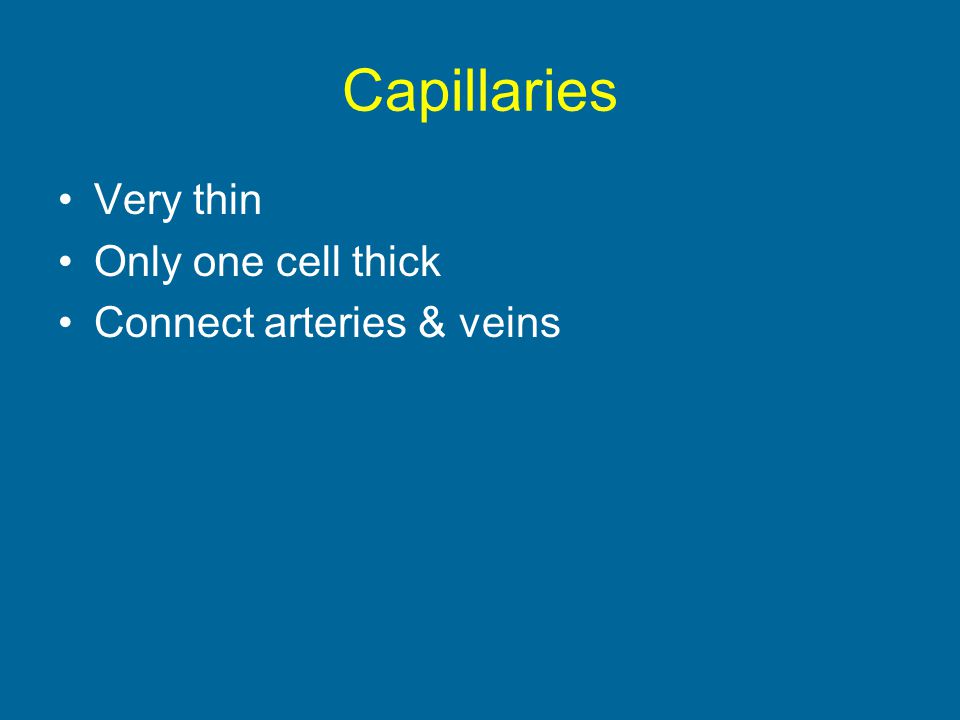 Capillaries Very thin Only one cell thick Connect arteries & veins