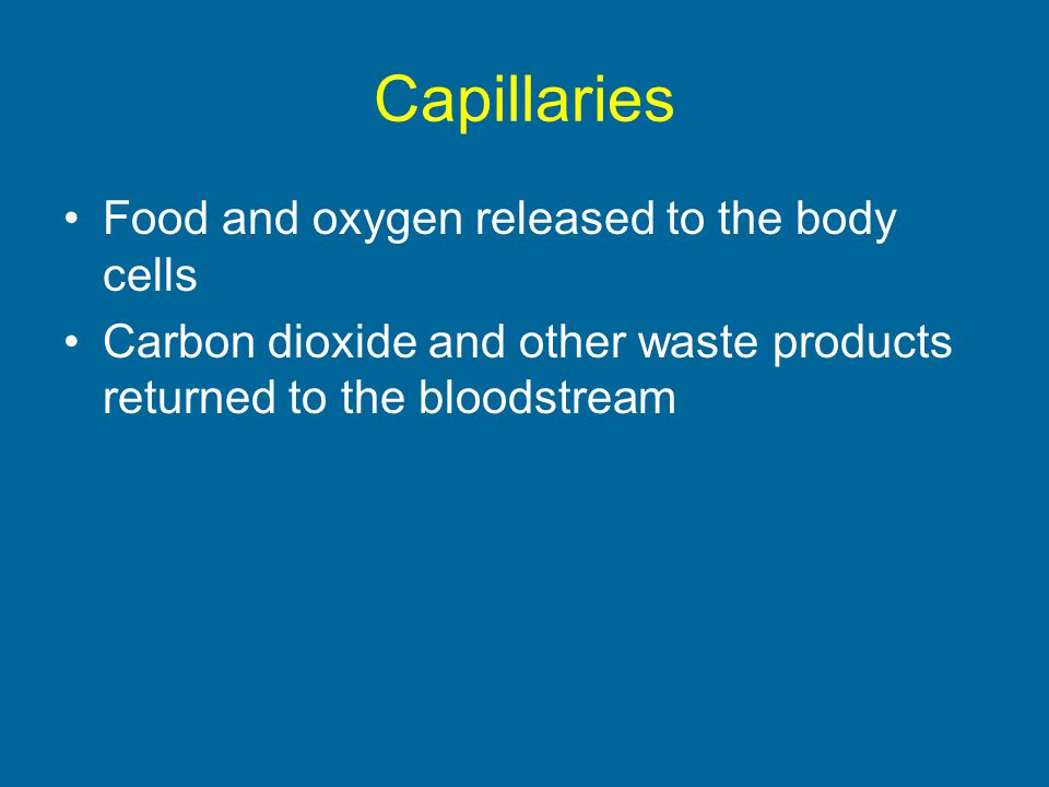 Capillaries Food and oxygen released to the body cells Carbon dioxide and other waste products returned to the bloodstream