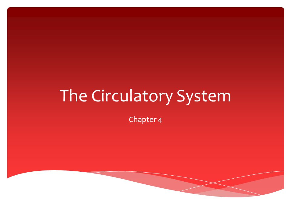 The Circulatory System Chapter 4