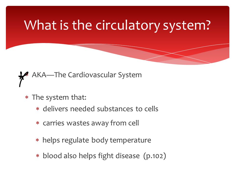  AKA—The Cardiovascular System  The system that: What is the circulatory system.