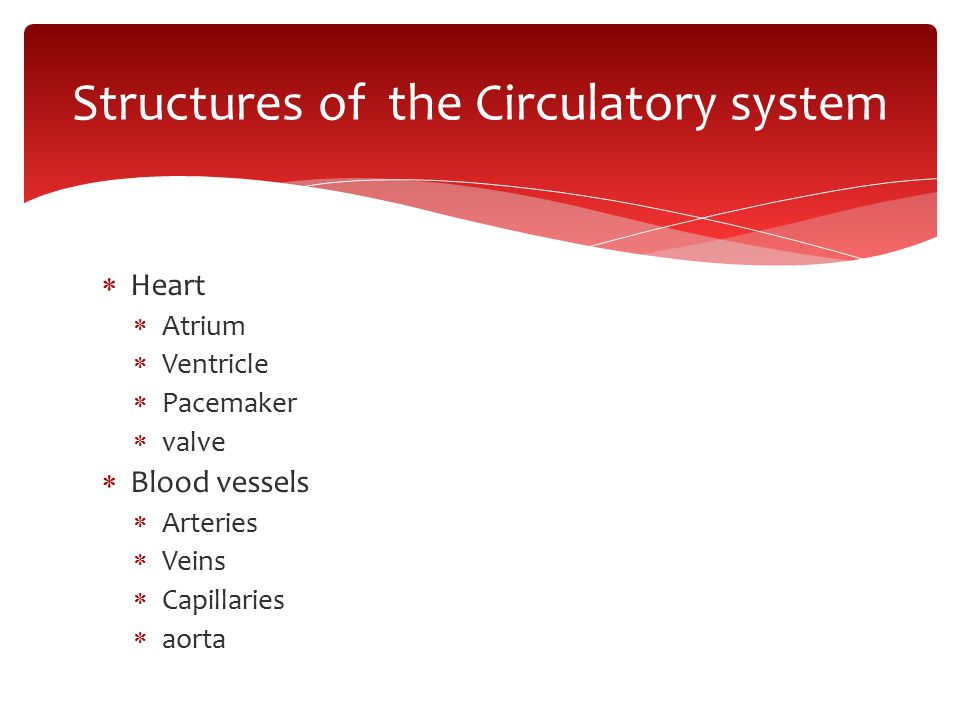  Heart  Atrium  Ventricle  Pacemaker  valve  Blood vessels  Arteries  Veins  Capillaries  aorta Structures of the Circulatory system