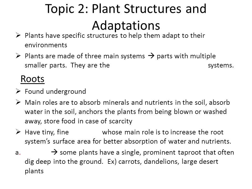 Topic 2: Plant Structures and Adaptations  Plants have specific structures to help them adapt to their environments  Plants are made of three main systems  parts with multiple smaller parts.