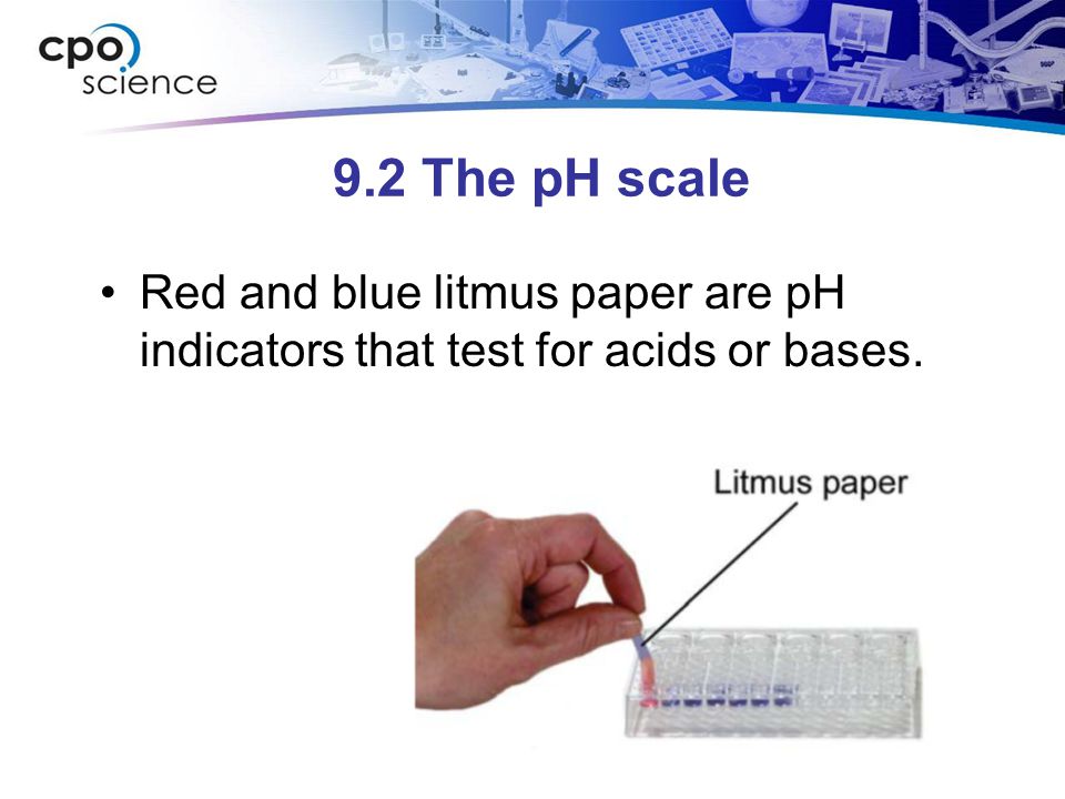 9.2 The pH scale Red and blue litmus paper are pH indicators that test for acids or bases.