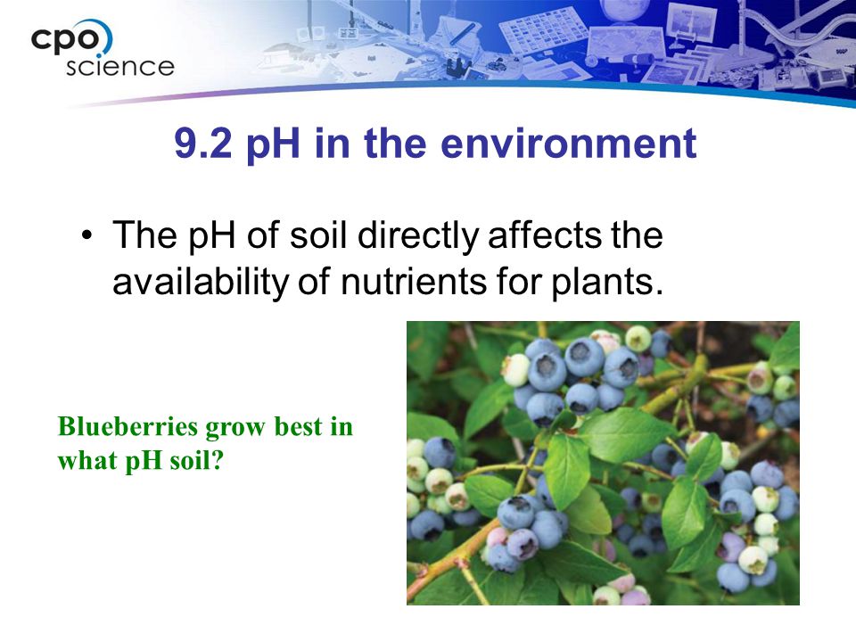 9.2 pH in the environment The pH of soil directly affects the availability of nutrients for plants.