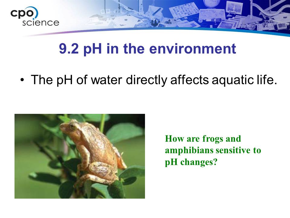 9.2 pH in the environment The pH of water directly affects aquatic life.
