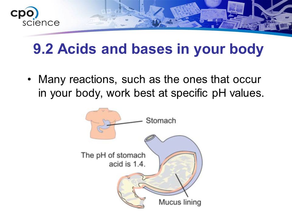 9.2 Acids and bases in your body Many reactions, such as the ones that occur in your body, work best at specific pH values.