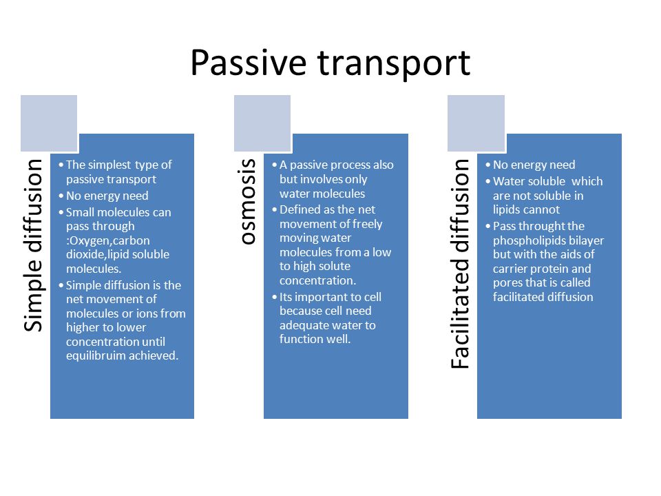 What is the simplest type of passive transport?