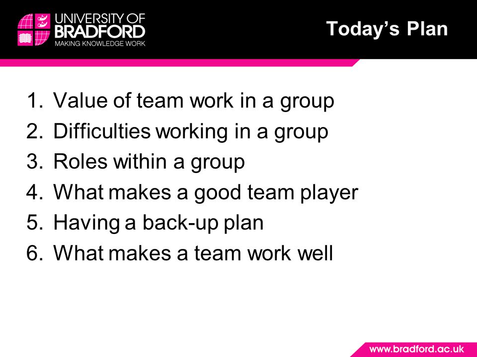 1.Value of team work in a group 2.Difficulties working in a group 3.Roles within a group 4.What makes a good team player 5.Having a back-up plan 6.What makes a team work well Today’s Plan