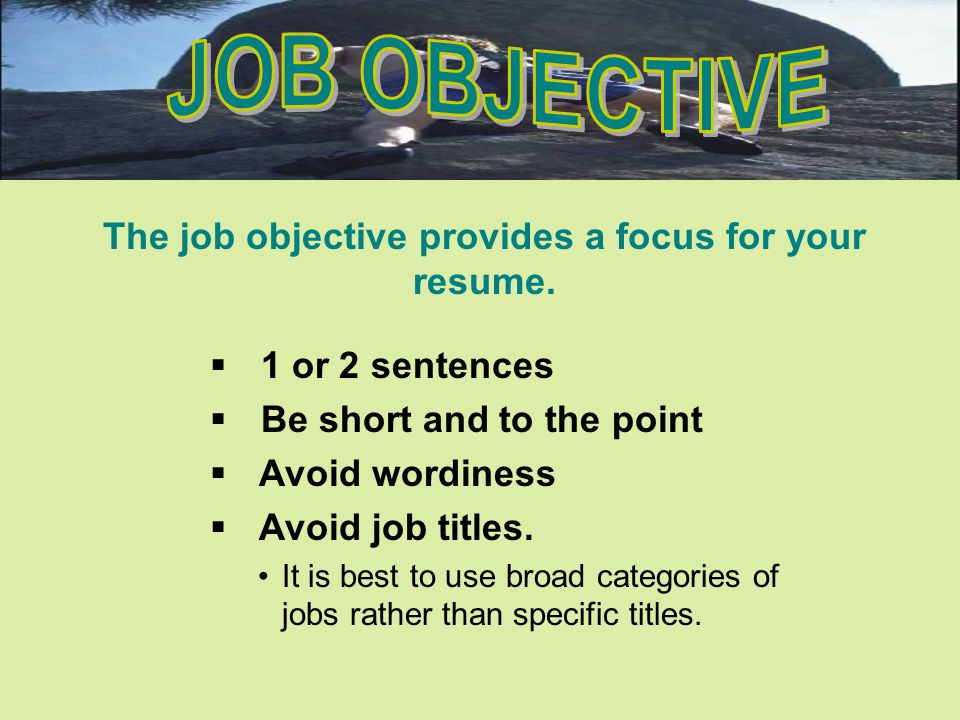 what to put under special training on job application