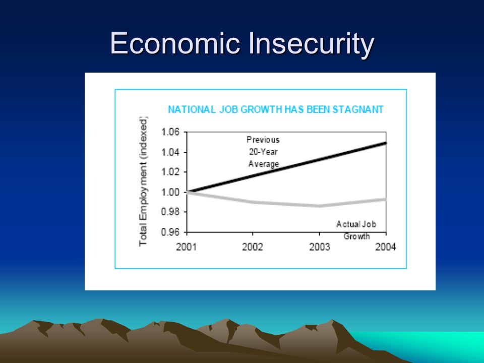 Economic Insecurity