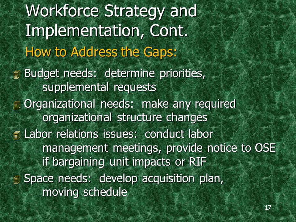 17 Workforce Strategy and Implementation, Cont.