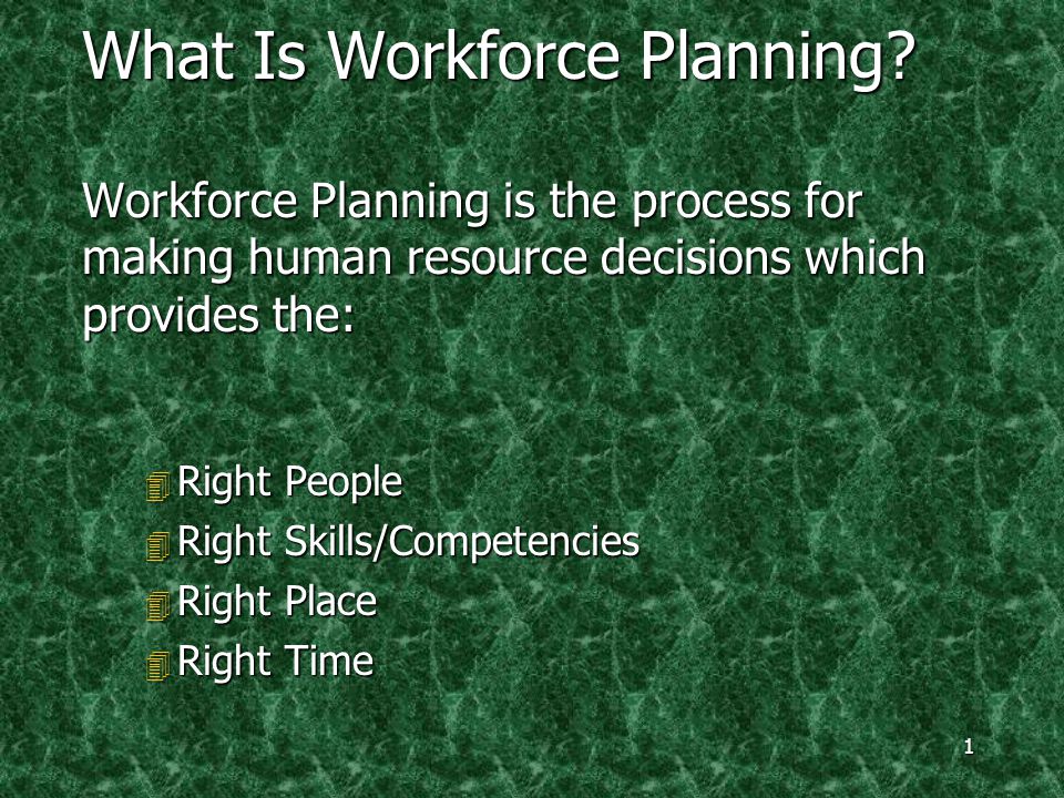 1 What Is Workforce Planning.