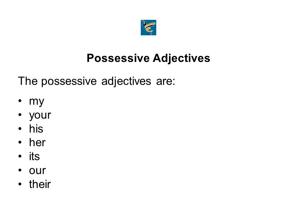 Possessive Adjectives The possessive adjectives are: my your his her its our their