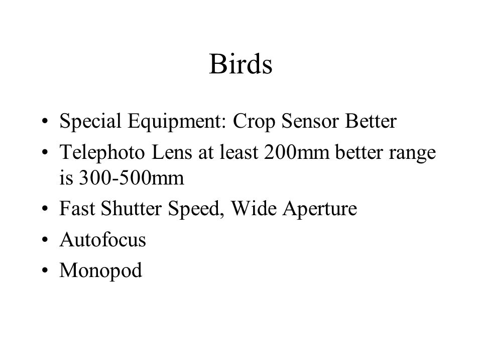 Birds Special Equipment: Crop Sensor Better Telephoto Lens at least 200mm better range is mm Fast Shutter Speed, Wide Aperture Autofocus Monopod