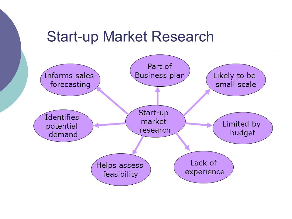 market plan essay market plan essay