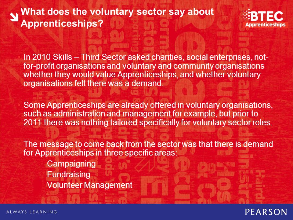 What does the voluntary sector say about Apprenticeships.