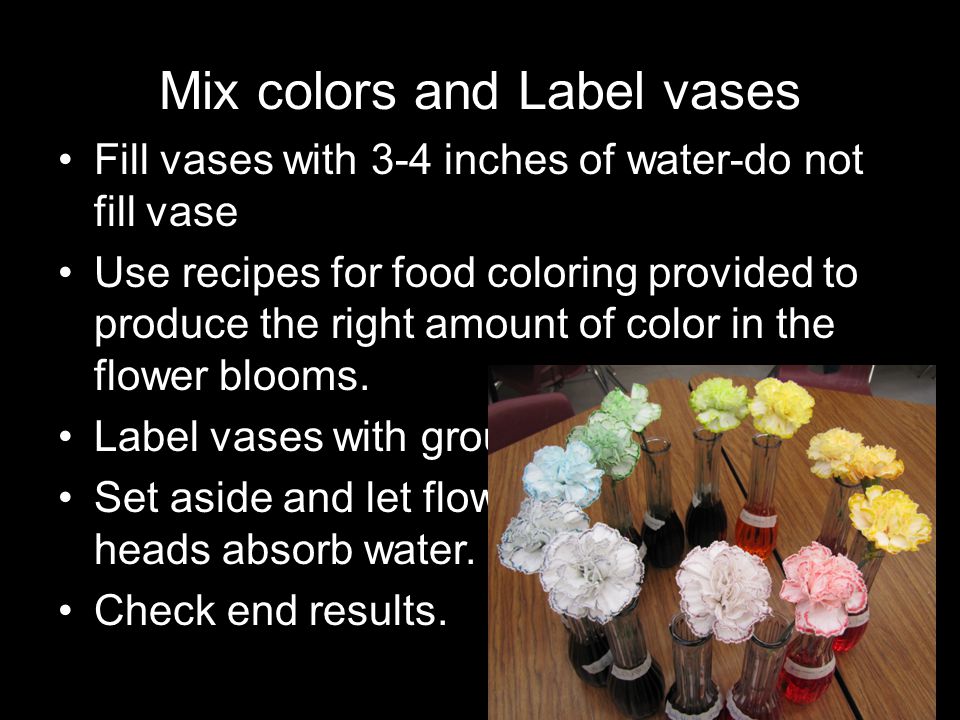 Flower color Wheel Stem dying flowers. Stem Dying flowers The ... Flower color Wheel Stem dying flowers. Stem Dying flowers The ...