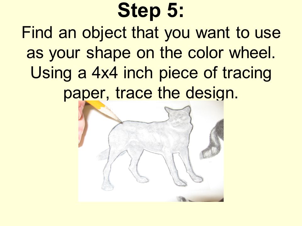 Step 5: Find an object that you want to use as your shape on the color wheel.