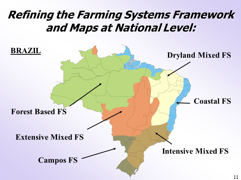 11 Refining the Farming Systems Framework and Maps at National Level: Forest Based FS Extensive Mixed FS Campos FS Dryland Mixed FS Coastal FS Intensive Mixed FS BRAZIL