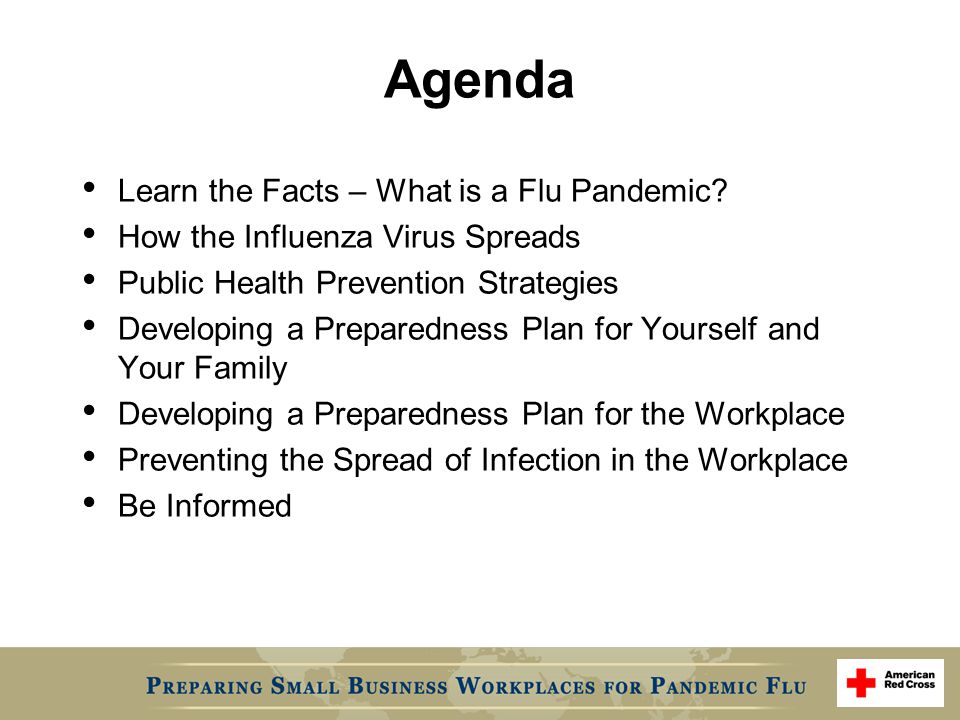 Agenda Learn the Facts – What is a Flu Pandemic.